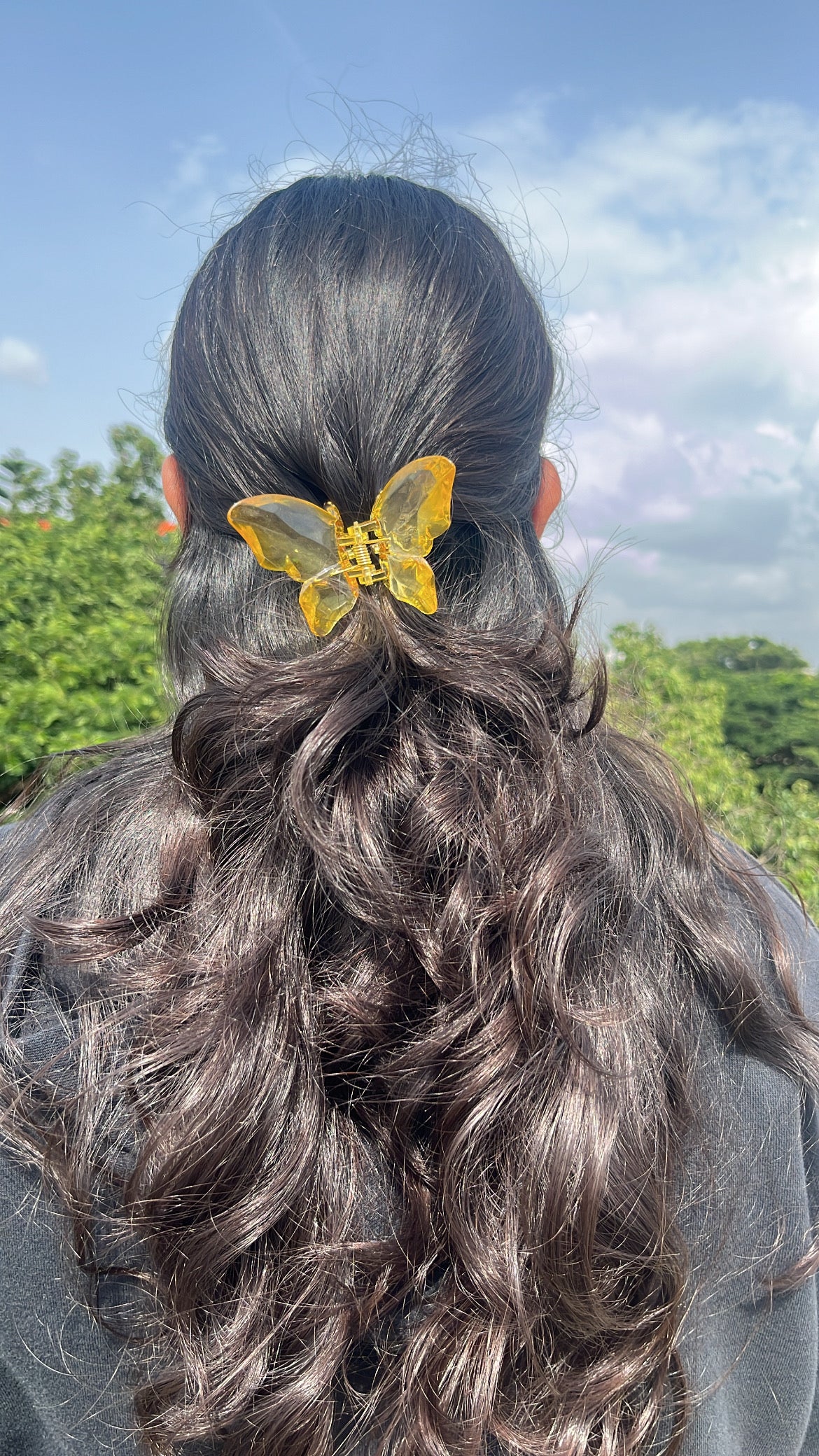 Crystal butterfly Hairclaws