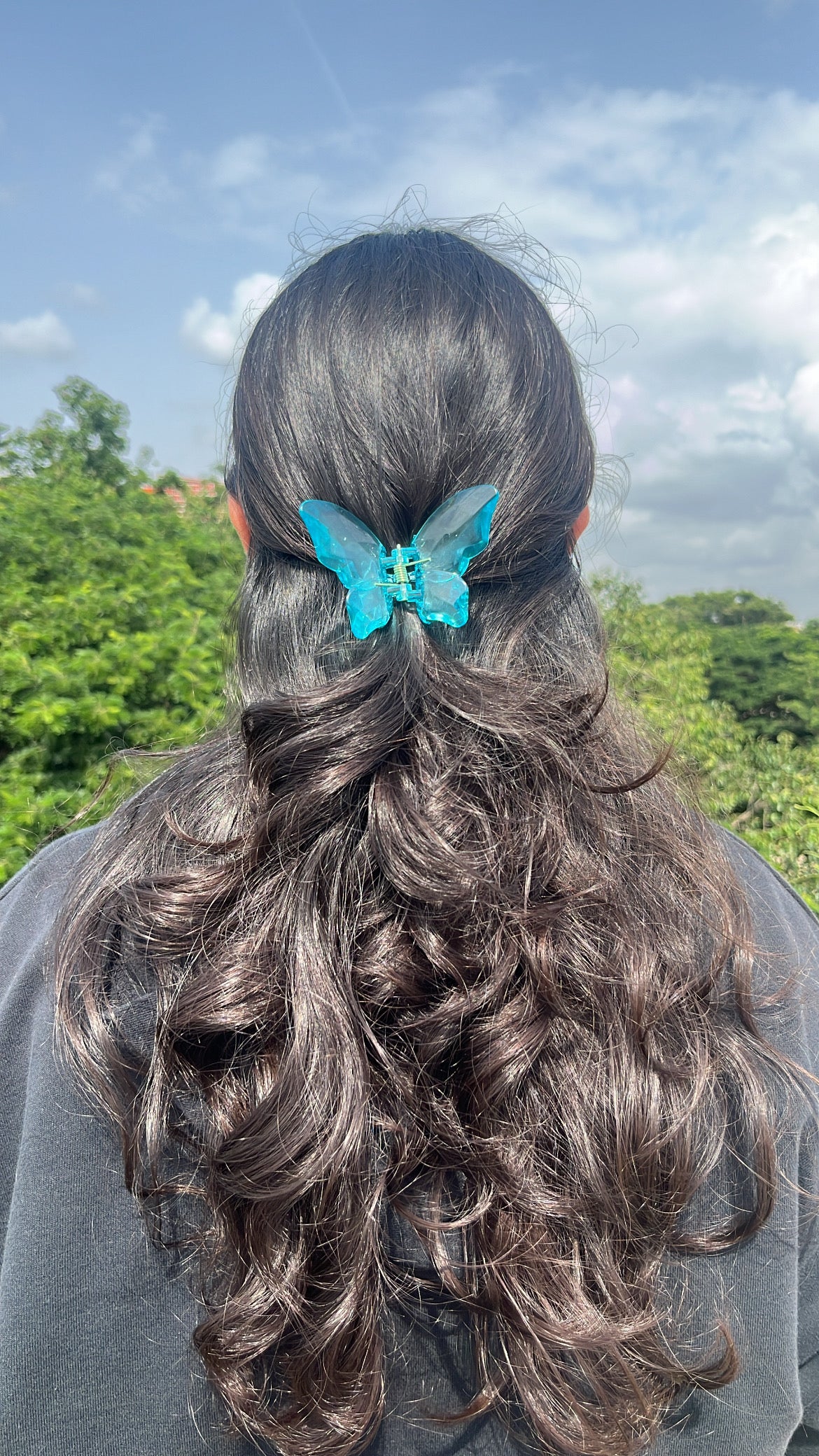 Crystal butterfly Hairclaws