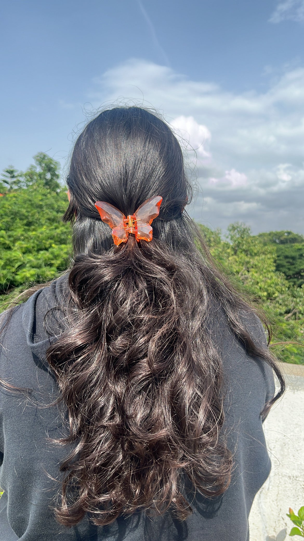 Crystal butterfly Hairclaws
