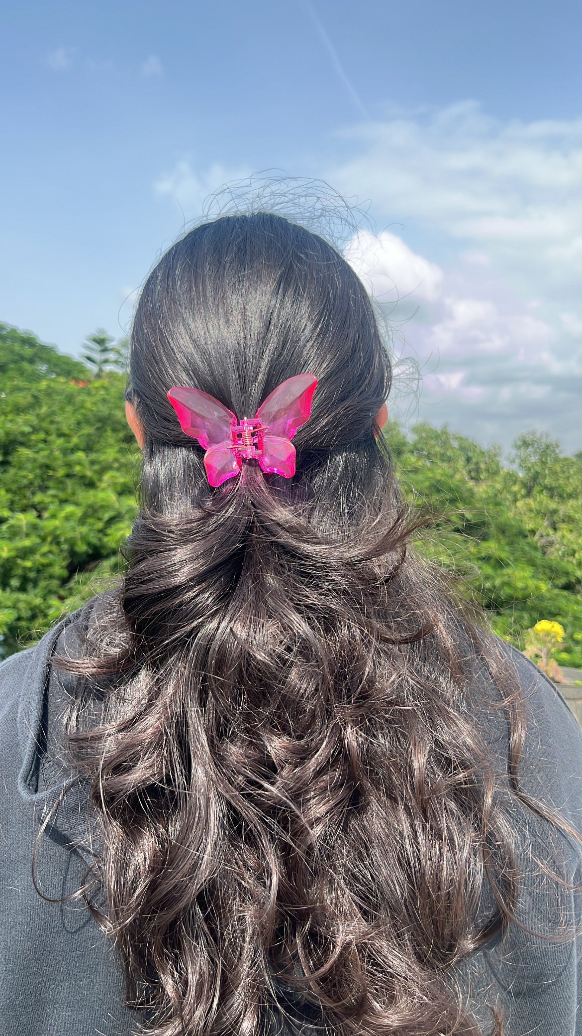 Crystal butterfly Hairclaws