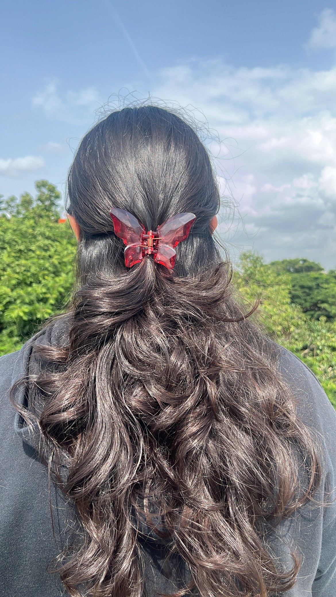 Crystal butterfly Hairclaws