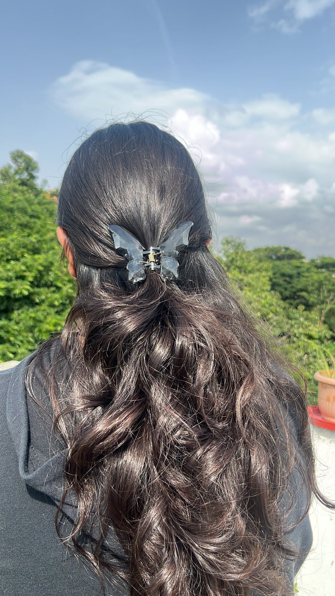 Crystal butterfly Hairclaws