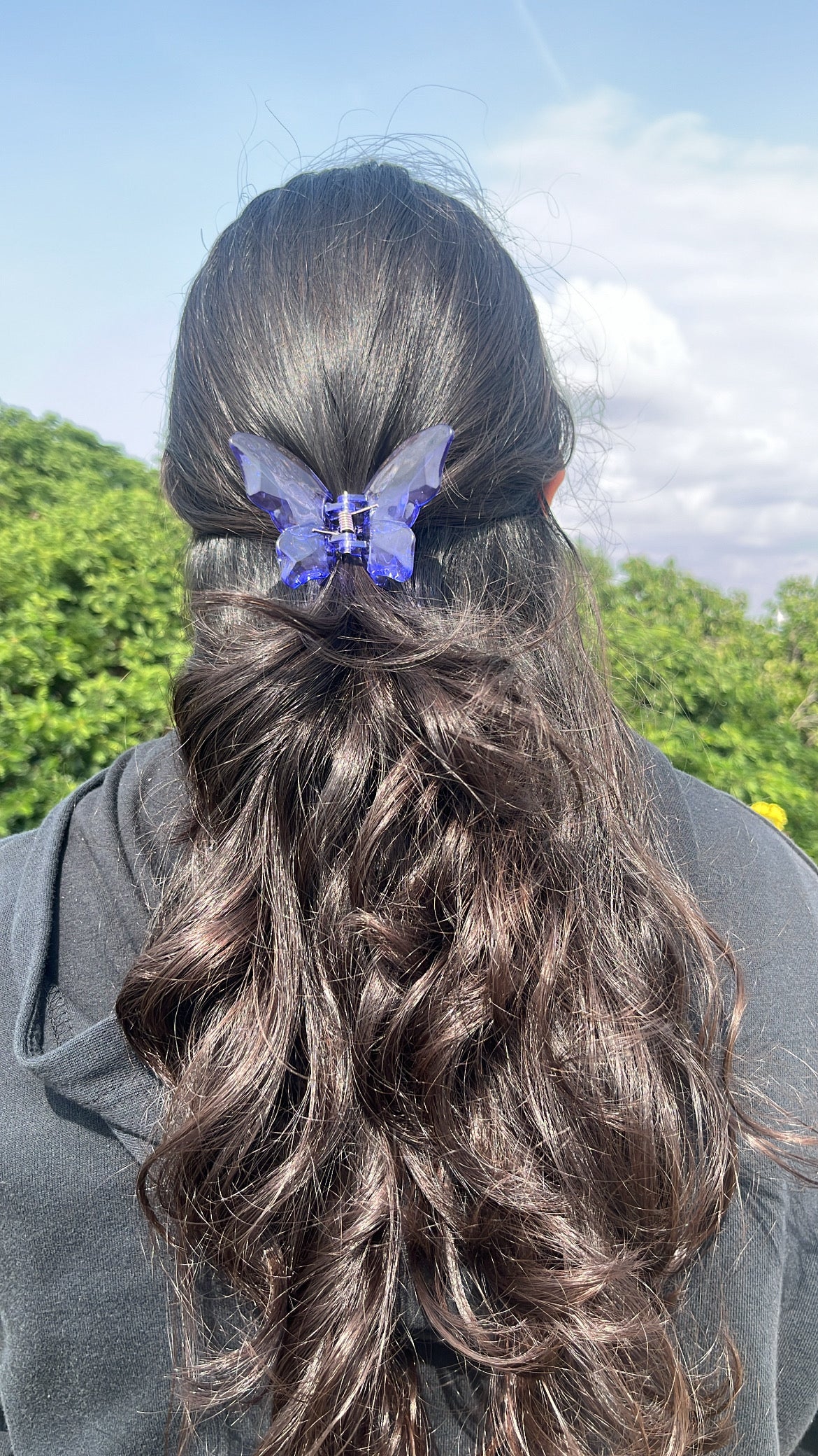 Crystal butterfly Hairclaws