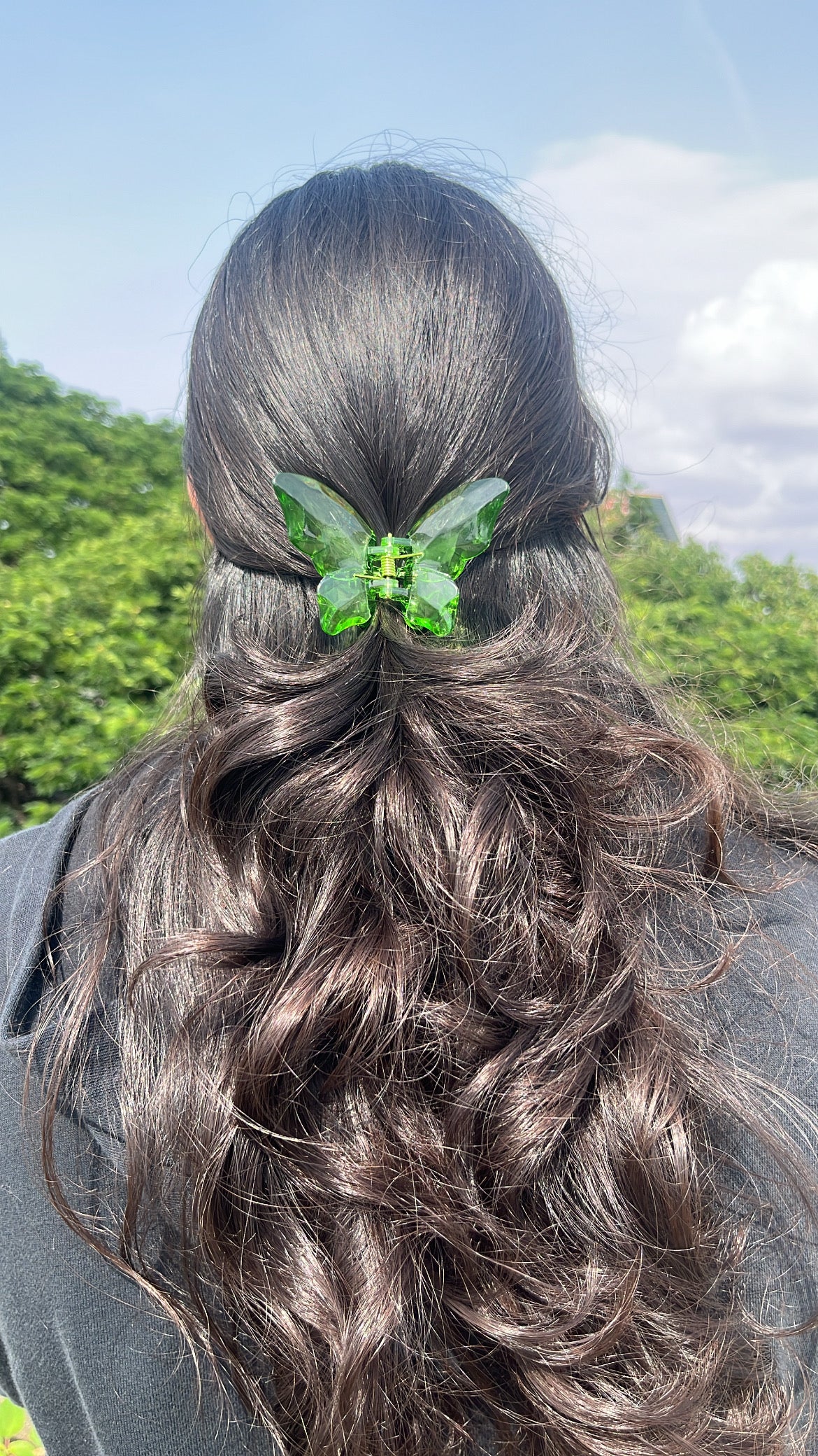 Crystal butterfly Hairclaws
